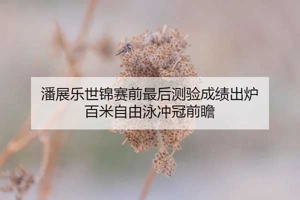 潘展乐世锦赛前最后测验成绩出炉 百米自由泳冲冠前瞻