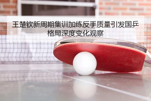 王楚钦新周期集训加练反手质量引发国乒格局深度变化观察
