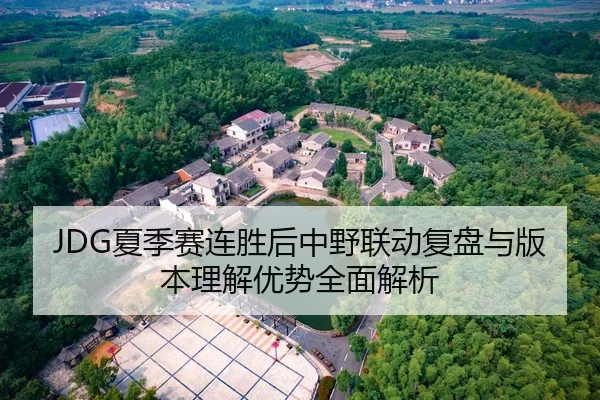 JDG夏季赛连胜后中野联动复盘与版本理解优势全面解析