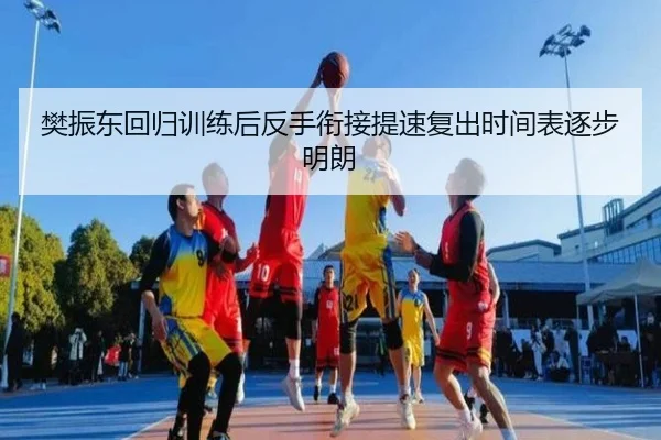 樊振东回归训练后反手衔接提速复出时间表逐步明朗