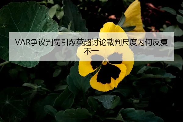 VAR争议判罚引爆英超讨论裁判尺度为何反复不一